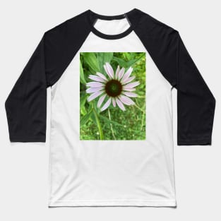 Pale Coneflower Baseball T-Shirt